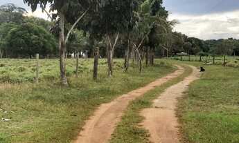 Imagem 3: Fazenda 22 hectares na Manuel Urbano 850.000