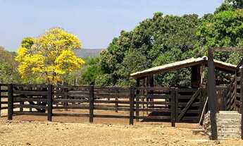 Imagem 3: Fazenda em Palmas