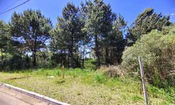 Imagem 5: TERRENO NO LOTEAMENTO MARSAL