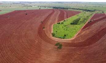 Imagem 5: Fazenda no município de Carneirinho