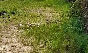 Imagem 6: Terreno exelente contruir