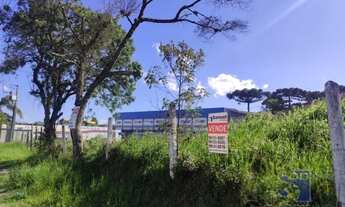 Imagem 3: ÁREA QUISSISSANA / COSTEIRA SÃO JOSÉ DOS PINHAIS