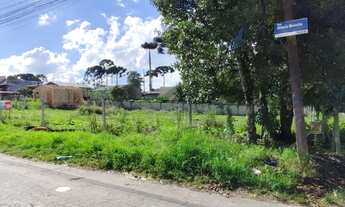 Imagem: Terreno à Venda em São José dos Pinhais