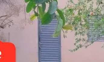 Imagem 4: Vendo casa dois quartos simples na vila delfiori aparecida de Goiânia