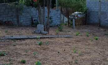 Imagem 6: Terreno pronto pra chácara