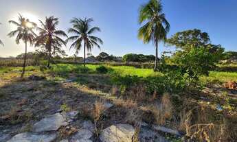 Imagem 6: Terreno de 1.600,00m2, povoado Céu, Praia do Peba, Piaçabuçu, Alagoas