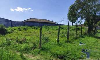 Imagem 5: ÁREA QUISSISSANA / COSTEIRA SÃO JOSÉ DOS PINHAIS