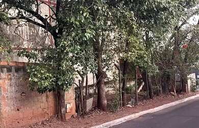 Imagem 3: Lote Lote à Venda, 225.00 por R$ 190000.00 no setor Setor Morada do Sol AD24123