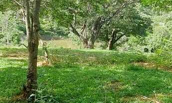 Imagem: Terreno Comercial as margens da MG 010