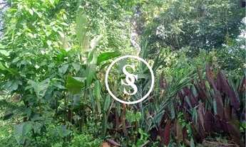 Imagem 4: Terreno à venda, 570 m² por R$ 900.000,00 - Suíço - São Bernardo do Campo/SP