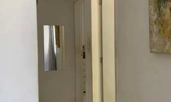 Imagem 4: Mata atlântica 2