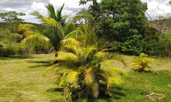 Imagem 2: Belíssima Chácara à Venda com 5.000 m², Área Verde, 3 quartos e Conforto e segurança