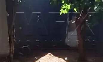 Imagem 5: Casa / venda - 3 quartos sendo 1 suíte - Bairro Carolina em Bauru - SP