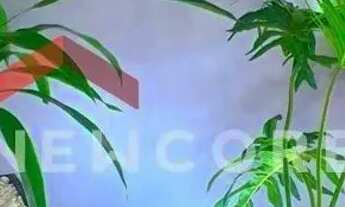 Imagem 7: Sobrado em Rua Sindicalista Antônio Luiz de Jesus - Jardim Dias II - Maringá/PR