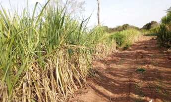 Imagem 3: Sítio de 32 hectares no assentamento comunidade sadia 3
