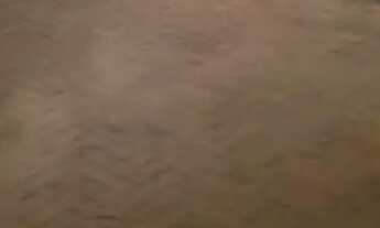 Imagem 7: Vendo kitnet no centro de Campinas direto com proprietário