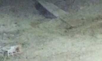 Imagem: Vendo ou troco esse terreno por um veículo