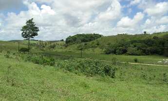 Imagem: Fazenda em Maragogi com 44 hectares apenas
