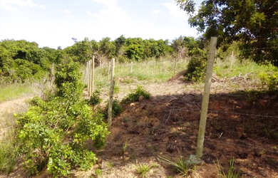 Imagem 16: Terreno vista deslumbrante no Marina Búzios