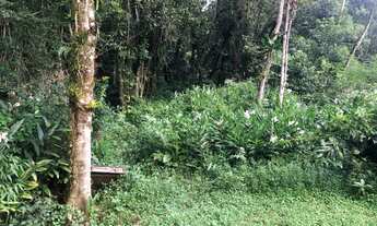 Imagem 2: Chácara em Matinhos