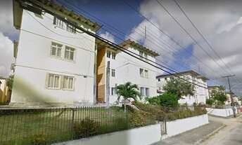 Imagem: Flamboyants - Capim Macio