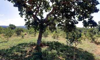 Imagem: Empreendimento com rede de água encanada