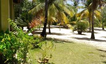 Imagem 5: Sítio São José