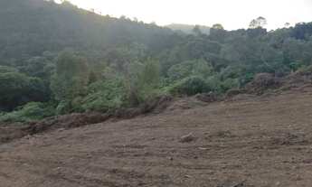 Imagem 4: Terreno de 20.000mts