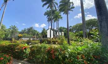 Imagem: Sítio em Capuan Caucaia