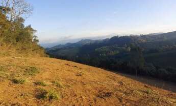 Imagem 7: Terreno de 20.000mts