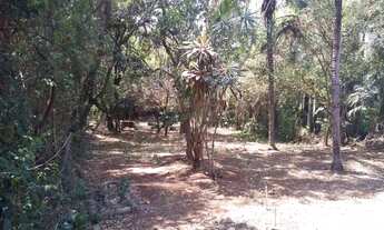 Imagem 3: área - Vila Hollândia - Campinas