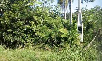 Imagem 4: Lote em Iguape $10,000 a vista