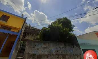 Imagem: São Paulo - Casa Padrão - Pompéia
