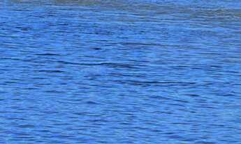 Imagem 2: Vendo chácara molhada