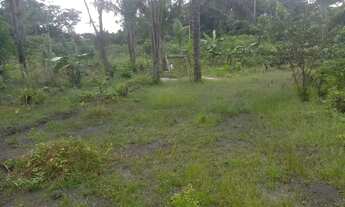 Imagem 5: Vende-se Chácara com venda por R$50.000