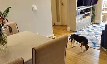 Imagem 4: Apartamento para aluguel com 66 metros quadrados com 2 quartos