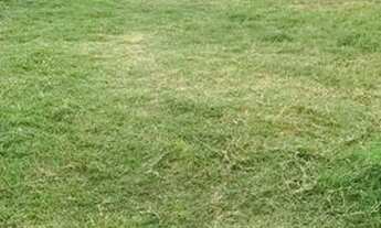 Imagem 7: Sobrado para venda ou permuta 3 quartos em Centro - Xangri-Lá - RS