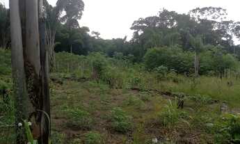 Imagem 6: Vende-se Chácara com venda por R$50.000