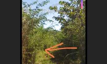 Imagem 2: Vendo um lote de terra