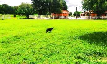 Imagem 3: Fazenda em Novo Santo Antônio - MT