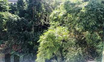 Imagem 6: Apartamento em Laranjeiras