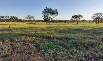 Imagem 6: Troca Chácara em Terenos por Casa em Campo Grande