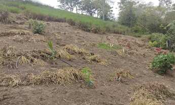 Imagem: V/T um sítio