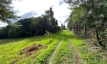 Imagem: Sítio Com Entrada De 4.900 E Parcelas De