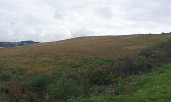 Imagem 3: Lote/Terreno para venda com 160 metros quadrados em Centro - São Joaquim - SC