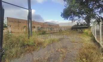 Imagem 4: Terreno Área em São José do Rio Preto