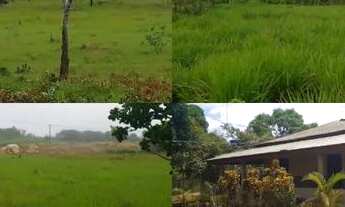 Imagem: Vendo Sítio de 58 hectares