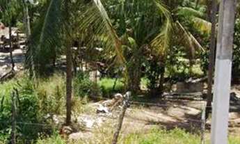 Imagem 2: Vendo terreno Terreno / lote com venda com preço sob consulta