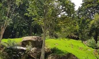 Imagem 6: Compre Casa Campestre em Moeda-MG - Lindo pomar com Jabuticaba e muito mais!