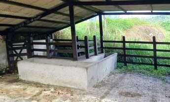 Imagem 4: Chácara Chácara com venda por R$650.000